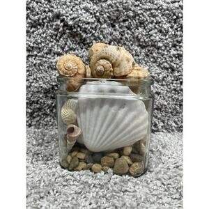 Craft Assorted Seashells Clear Glass Jar Collectible Home Decor